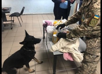 Таможенники Слобожанщины изъяли за три месяца 32 кг наркотиков