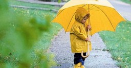 Завтра в Харькове - до 17 градусов тепла и возможен дождь