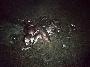 Хотел наловить рыбки к празднику, но попался патрулю (ФОТО)