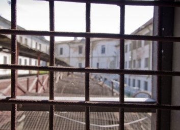 Девушке, которая убила своего кота, грозит тюремный срок