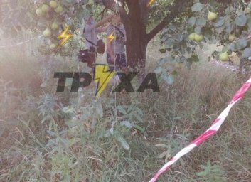 ЧП: в известном парке на Салтовке - самоубийство (ФОТО)