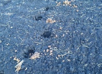 Внимание! Розыск воров и убийц (ФОТО, Обновлено)