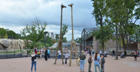 В Харькове распространяют фейковые пригласительные в зоопарк