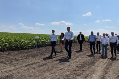 На Харьковщине стартовал сбор урожая ранних зерновых