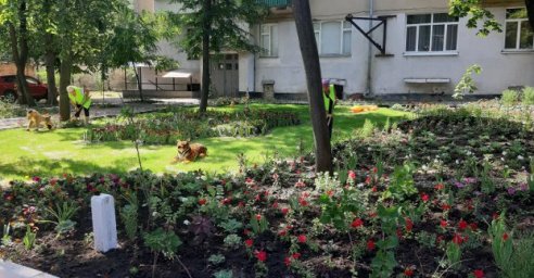 В городе проходит конкурс на лучший двор