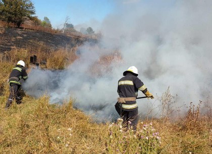 Под Харьковом спасли лес от пожара (ГСЧС)