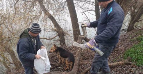 Возле озера &laquo;Зеленка&raquo; очистили территорию