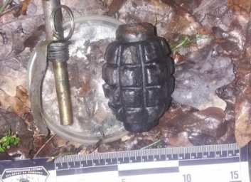 Опасный клад: пошел в лес и... откопал арсенал (ФОТО)