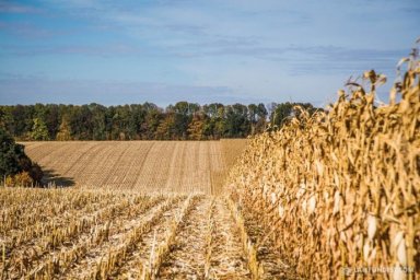  Рынок земли: бесплатных 2 га не будет? 