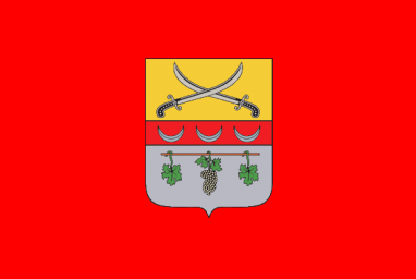 Поздравление главы Харьковской ОГА Айны Тимчук громаде Чугуева с Днем города