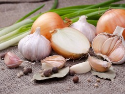 Ученые установили запах стресса