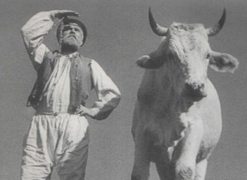 Областной центр культуры и искусства приглашает на &laquo;Киновечер им. Довженко&raquo;