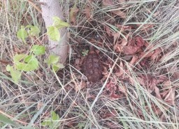 Харьковская колония чуть на взлетела на воздух (ФОТО)