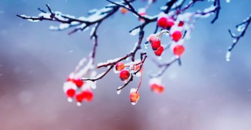 В выходные в Харькове &ndash; до 8 градусов тепла