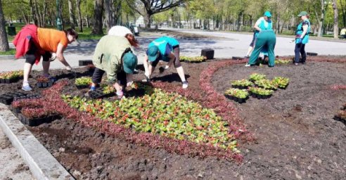 В Харькове продолжают высаживать цветы