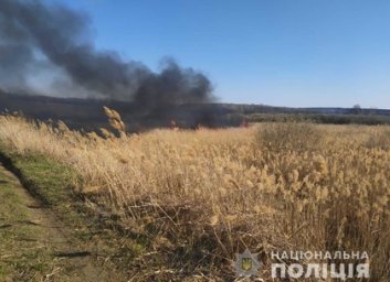 Следователи Харьковщины начали уголовное преследование &laquo;борцов&raquo; с сухостоем (ФОТО)