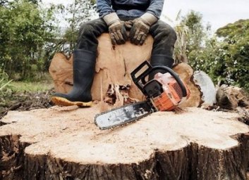 &laquo;Черному&raquo; лесорубу не удалось подкупить следователя