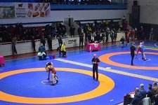 Харьковские борцы привезли семь наград из Запорожья