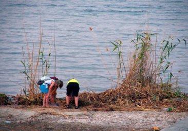  На побережье Черного моря в Одесской области обнаружили сальмонеллу и кишечную инфекцию 