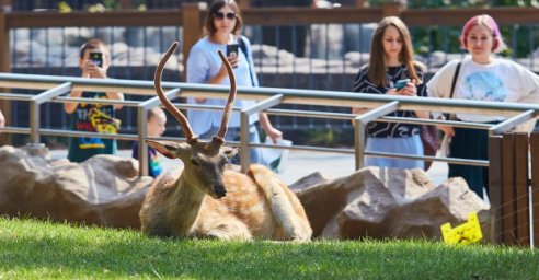 Харьковчан с проблемами слуха приглашают на экскурсии в зоопарк