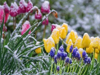 Укргидрометцентр предупредил: в ближайшие 3 суток в Украине ожидаются заморозки