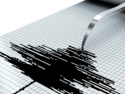 У берегов Гаити произошло землетрясение, погибли 11 человек