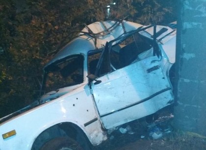 На Салтовке ВАЗ врезался в столб