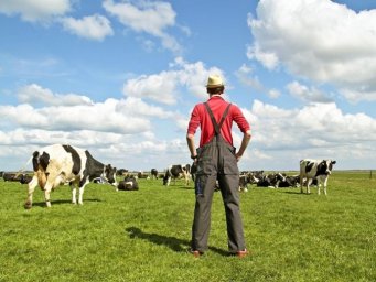 Эксперт рассказал, какие категории фермеров больше всего пострадали от карантина