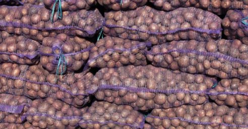 Молодежный совет получил крупную партию гуманитарной помощи