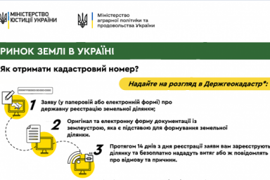 Разъяснение земельной реформы: как присвоить кадастровый номер участку