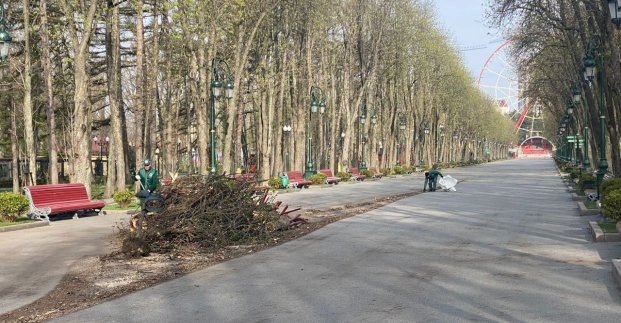 В парке Горького ликвидируют последствия вражеских обстрелов