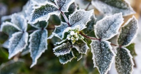  В Украине трое суток продержатся заморозки и снег - синоптики 