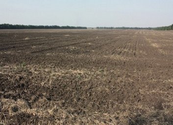 Облпрокуратура вернула государству сельхозземель на 11 млн. грн (Прокуратура)