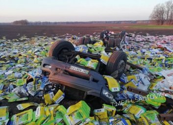 Прицеп всмятку и груз по всему полю: под Харьковом фура слетела в кювет (ВИДЕО, ФОТО)
