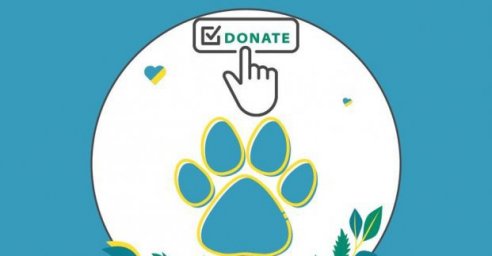 В Харьковском зоопарке упростили механизм перевода благотворительных средств