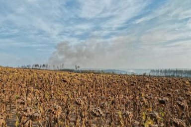 Более десятка агрофирм Двуречанского района помогают тушить пожар