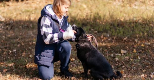 В городском приюте отметили годовщину открытия pets-friendly контакт-центра