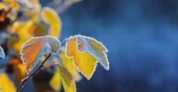 Завтра в Харькове &ndash; до 17 тепла