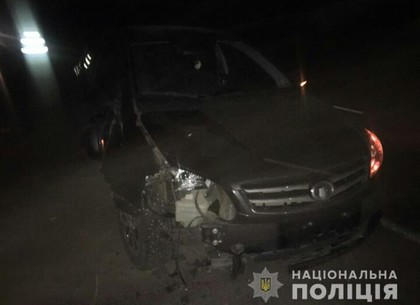 Под колесами авто погибли пожилой велосипедист и перебегавший дорогу мужчина (ФОТО)