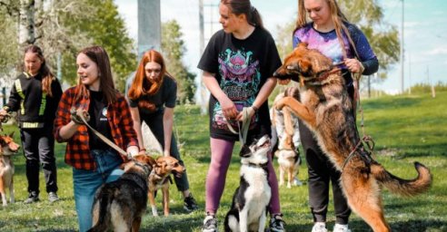 Харьковский городской приют для животных отметил 10-летие
