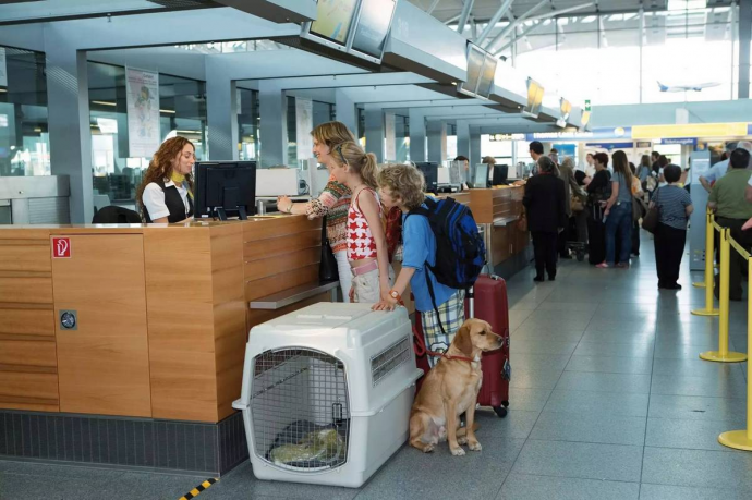  Новые правила перевозки животных из Украины в Польшу: что изменилось 