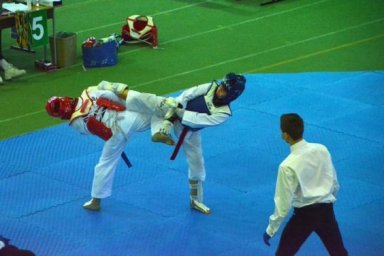 На традиционном предновогоднем турнире по тхэквондо харьковчане завоевали 122 награды