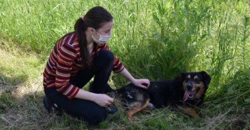 Приют для животных возобновил проведение Дней открытых дверей