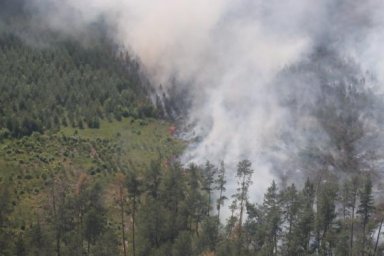 Спасатели с волонтерами провели воздушное патрулирование лесных массивов области