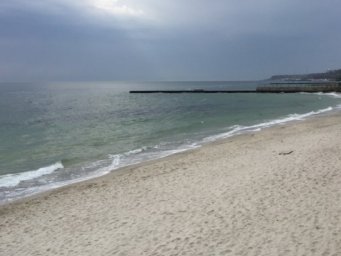 Ляшко: Минздрав разрешит купаться в морях, бассейнах, если коронавирус не передается по воде