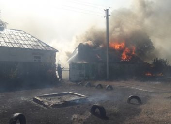 Пожар под Харьковом: огонь уничтожает лес и дома (ФОТО)