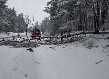 Гололед, заносы и упавшее дерево: спасатели помогают застрявшим под Харьковом автомобилям