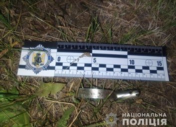 Мужчина подорвал себя гранатой в лесополосе: подробности (ФОТО)