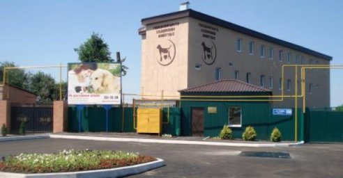 Харьковский приют для животных получили более 700 тысяч гривен помощи