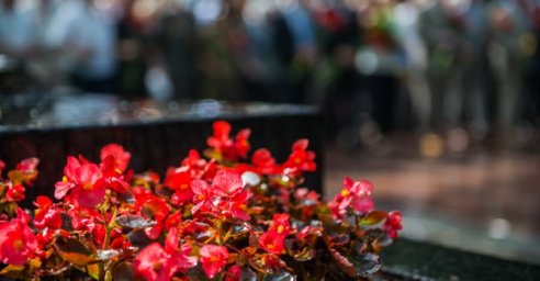 В план праздничных мероприятий ко Дню города внесены изменения